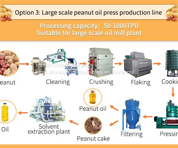 Home Use Groundnut Oil Expeller Groundnut Oil Production Machine Small Scale Groundnut Oil Processing Equipment photo-2
