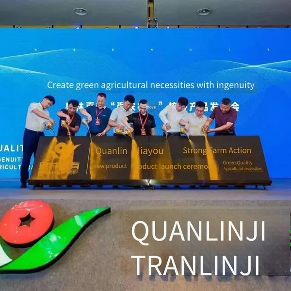 Rental of Props for the Launch Ceremony, Including Gilded Sand Painting Scrolls, Dry Ice Lifting Platforms, Handprint Platforms, and Multiple Launch Balls