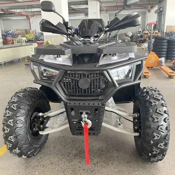 200CC Quad Bikes ATV 4x2 Petrol ATV Motorbike Motorcycle photo-3