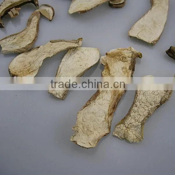 Hot Sale!!! Porcini Dried Mushroom photo-5