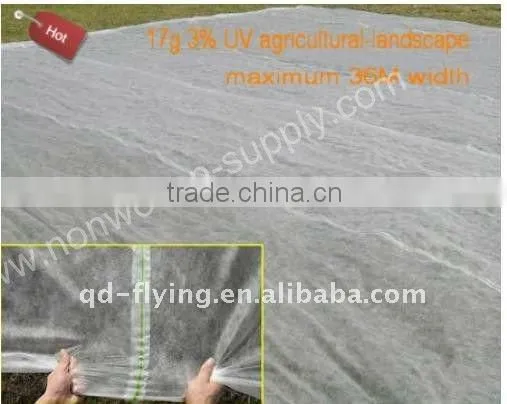 Non Woven Landscape Fabric Factory photo-6