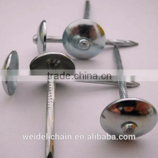 3''x9bwg Twisted Shank Roofing Nails/umbrella Roofing Nails photo-4