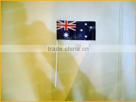 Sports Hand Waving Flag and Banners photo-4