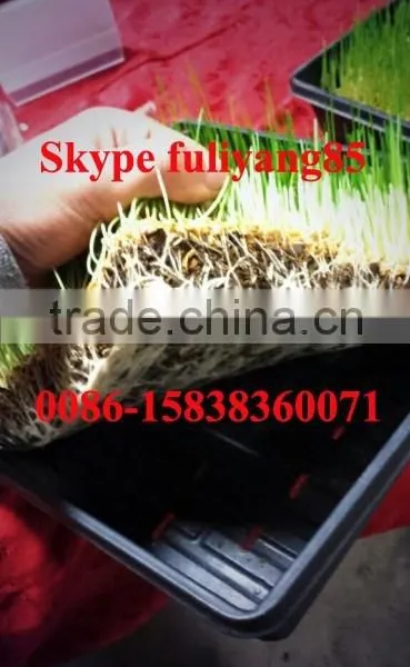 Hydroponic Growing Rooms Specifically Designed to Sprout Grain and Legume Seeds in Trays photo-4