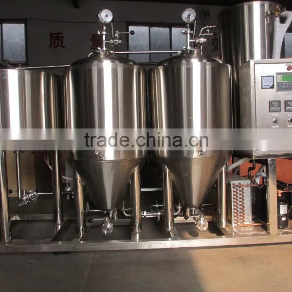 Bar Brewing Equipment 100L Beer Brewer for Sale RJ Brewing Technology photo-3