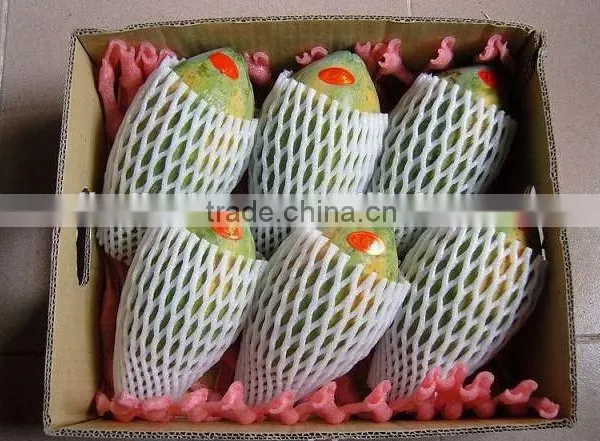 Hot Selling Cheap Fruit Packing Foam Net photo-3