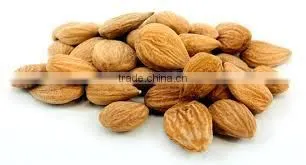 Organic Bitter Apricot Kernels