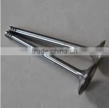 Valve for Car Engine