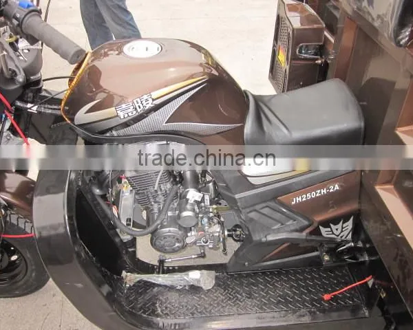 250CC Three Wheel Motorcycle,3 Wheel Motorcycle ,cargo Tricycle photo-6
