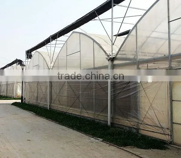 Agriculture Multi Span Plastic Film Greenhouse