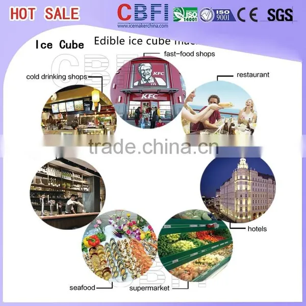 CE Approved Ice Cube Machine Maker for Sale photo-4