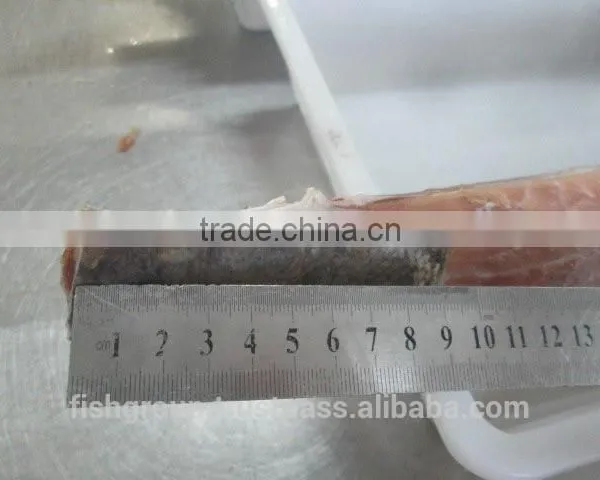 YELLOWFIN TUNA LOINS WITH ONE INCH SKIN PATCH photo-5