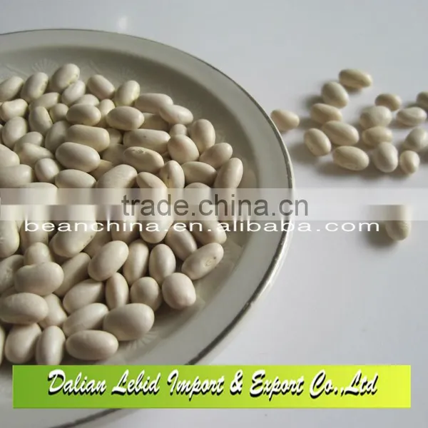 High Quality Dry Japanese Type White Kidney Beans Wholesale