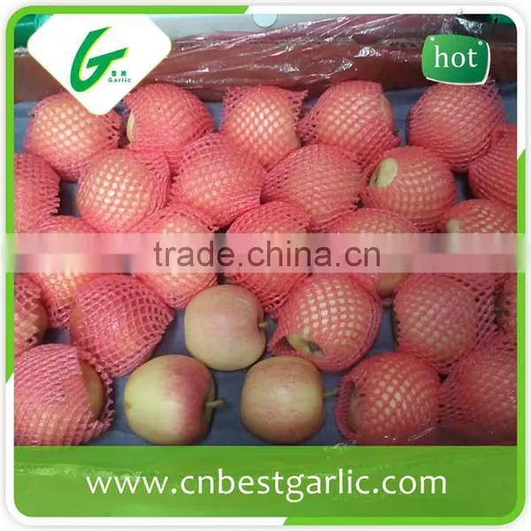 Fresh Chinese New Crop Red Gala Apple Wholesales photo-2