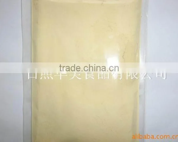 Onion Powder
