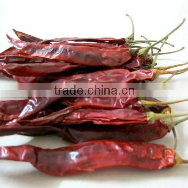 Chillies photo-3