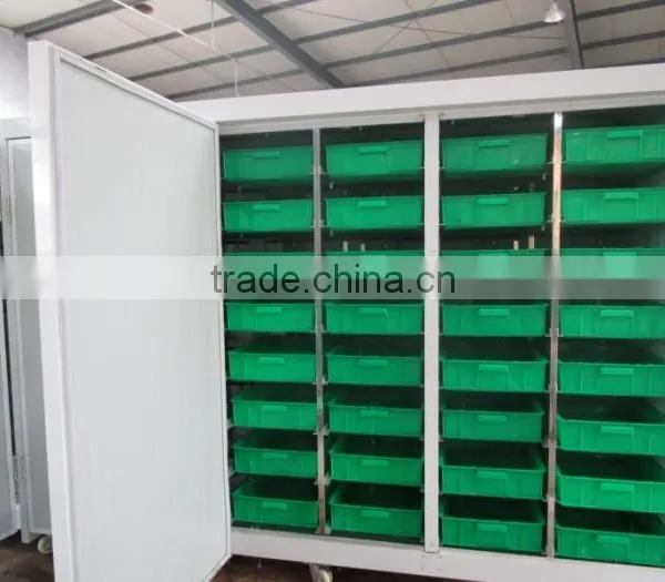 Automatic Hydroponic Barley Grass Fodder Planting System for Animal,livestock,cattle,sheep photo-3