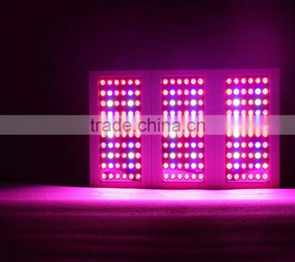 Full Spectrum Led Grow Light Bulb Full Spectrum 360w Panel Grow Led Light Led Grow Equal 600w Hps Led Grow Light photo-4