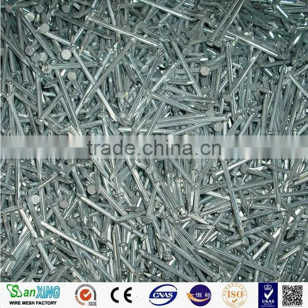 Common Nail Price of Iron Nail Factory photo-6