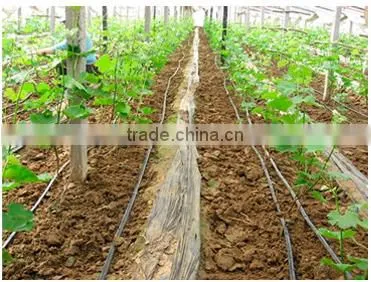 Drip Irrigation Pipe Price photo-6
