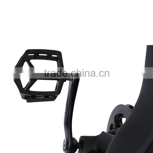 Hot Electric Fat Tire Bicycle, 26inch Fat Tire 36V 250W Electro Bike For Adult photo-4