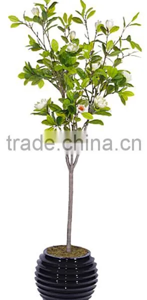 Indoor Home Garden Decorative 250cm Height Make Artificial Green Live Magnolia Bonsai Tree EXLYPZ06 0510 photo-4