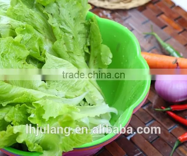 Plastic Flower Type Vegetable Fruit Storage Basket for Kitchen photo-2