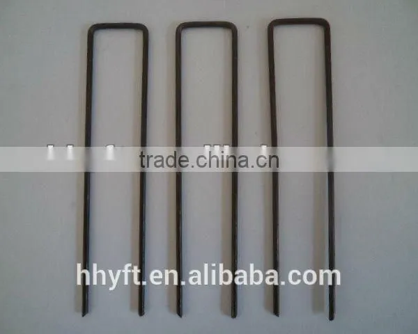 6.5ga Electro Galvanized Steel Sod Nail With Sharp Point on Sale photo-2