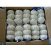 2013 Fresh White Garlic