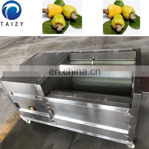 High Quality Cashew Nut Washing Packaging Machine photo-7