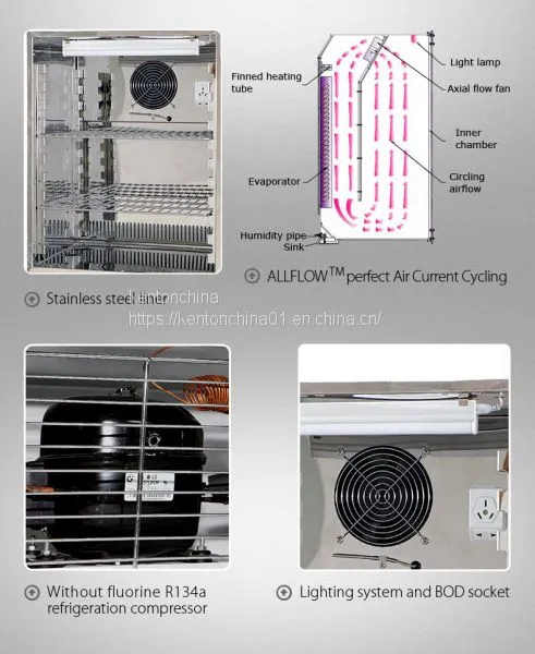 SPX-100SMJ LCD Display Mildew Incubator for Microorganism photo-3