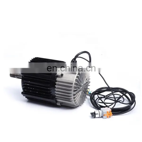 Custom 220Vac 1000w 2000w 250w 2kw 36v 250w 3000w Bldc Hub Motor Car Brushless dc Motor photo-4