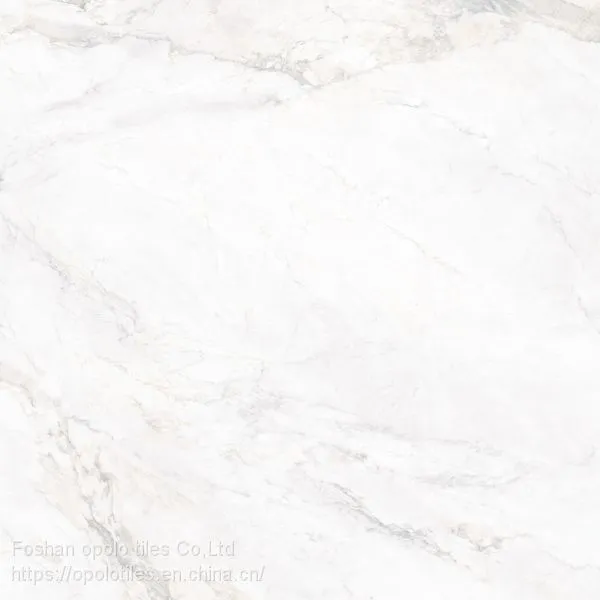 Fullbody Tiles / Glazed Tiles 800X800 photo-5