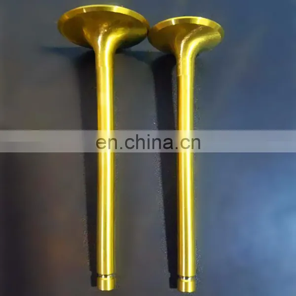 Pick up Truck Spare Parts For Hyundai Tucson Trago Ix35 D6ca D6ac I20 hd 65/72/78 Y20 Intake Exhaust Engine Valve photo-2