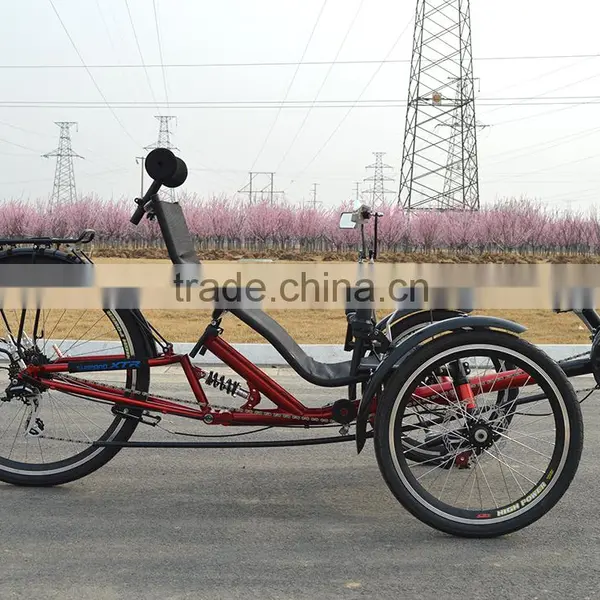 Electric 250w Folding Recumbent Trike photo-6
