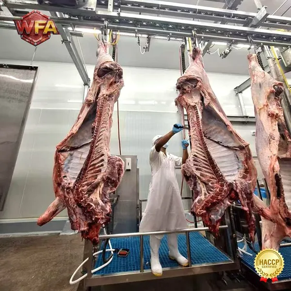 Complete Slaughtering Line Equipment Cow Slaughter Machine Cattle Abattoir Slaughterhouse Plant photo-4