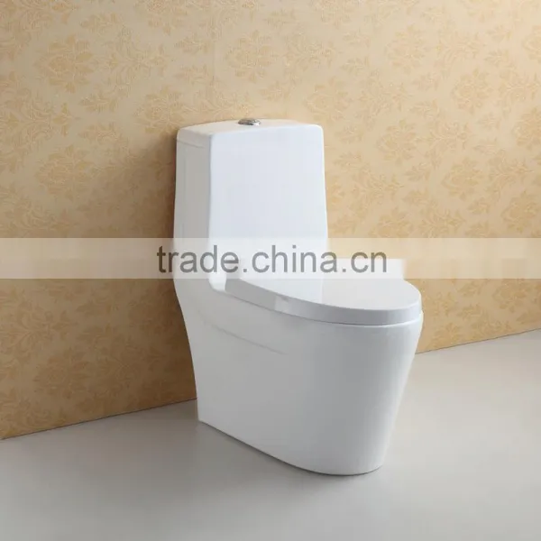 Fashionable Single Piece Water Closet photo-4
