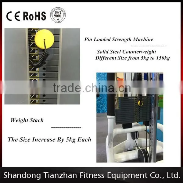 Luxury Fitness Equipment /arm Exercise Machine / TZ-6013 Biceps Machine photo-5