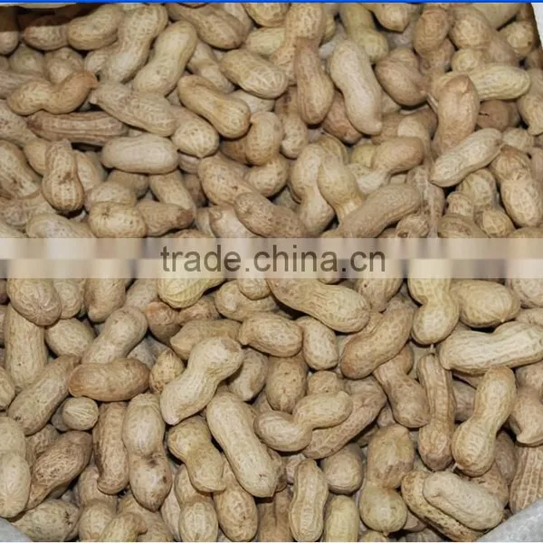 Crop 2015 Chinese Raw Peanut Inshell photo-2