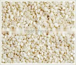 Hulled WaterMelon Seeds photo-2