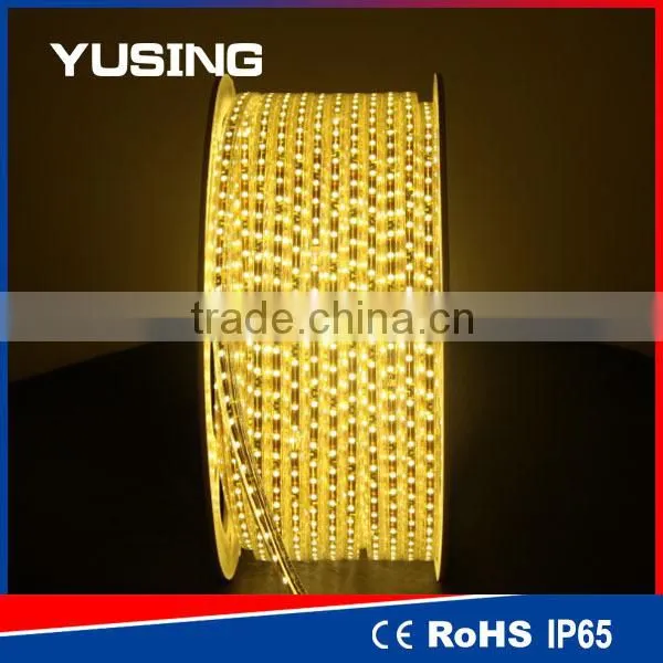 2 Years Warranty High Bright SMD 5050 High Voltage LED Strip 220V 110V photo-3