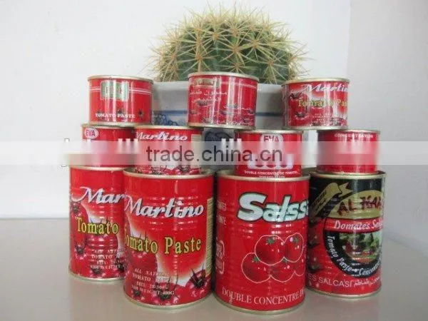 Good Quality Natural Fresh Canned Tomato Paste photo-2