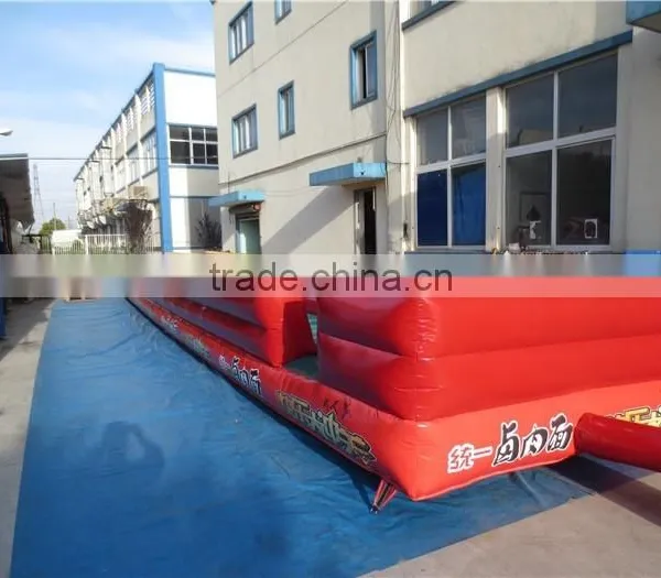 Double Line Inflatable Bungee Run for Sale photo-4