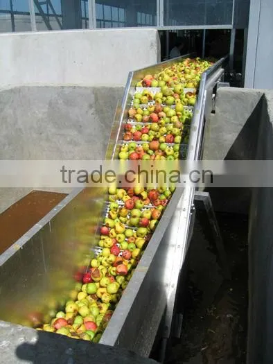 Apple Pear Processing Line photo-2