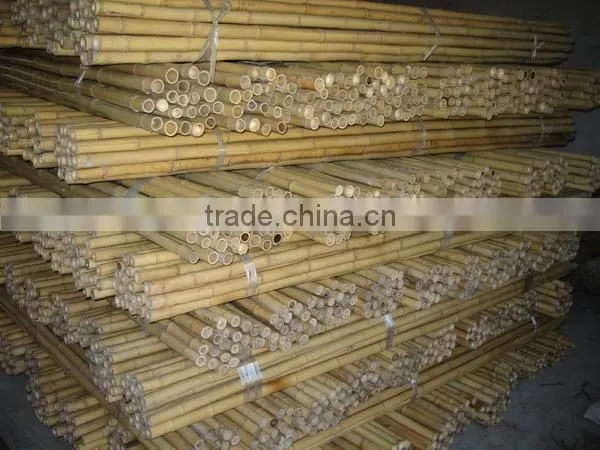 Bamboo Poles