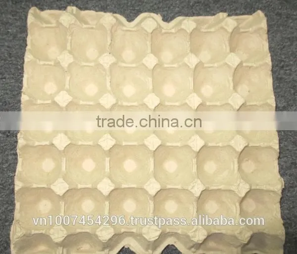 30 -Cavity Paper Egg Tray photo-6