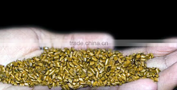Cassia Seed