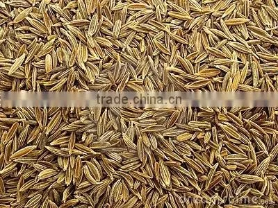 Cumin Seed photo-2