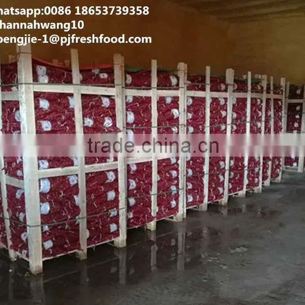 2016 New Crop Fresh Chestnuts HACCP Gap Kosher EU Standard photo-5