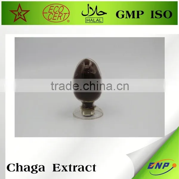 Factory Supply Natural Chaga photo-3